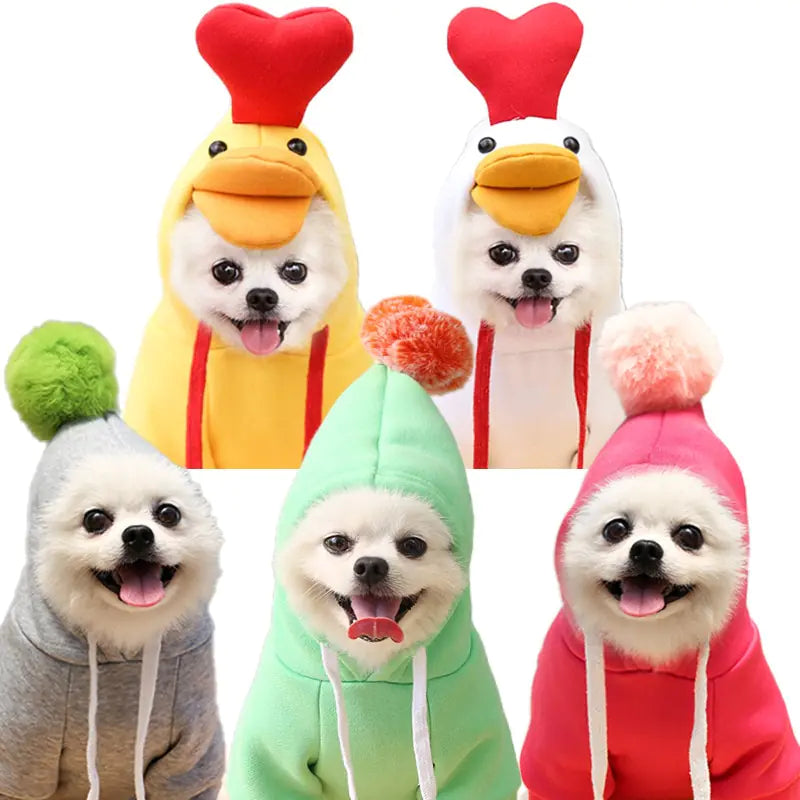 Fruit Pet Coat Hoodies