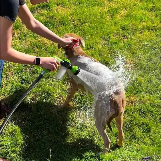 Adjustable Pet Dog Shower Sprayer