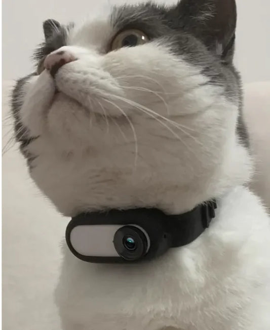 Paw Cam Wireless Pet Collar