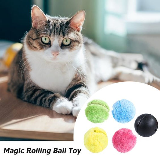 Automatic Pet Magic Roller Ball