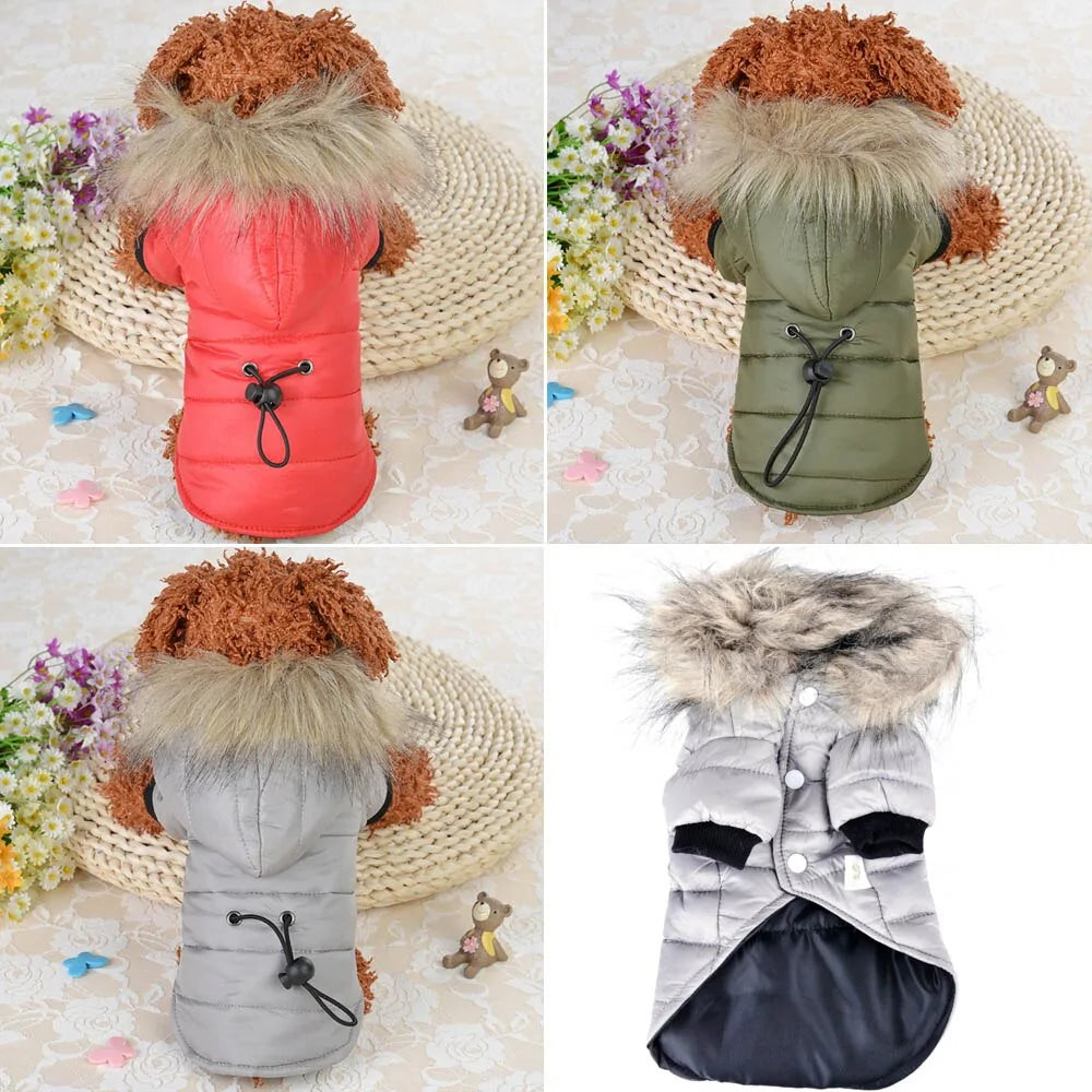 Fashionable Hooded Pet Jacket