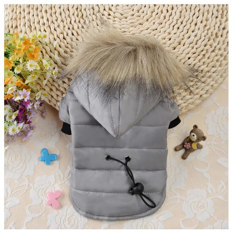 Fashionable Hooded Pet Jacket