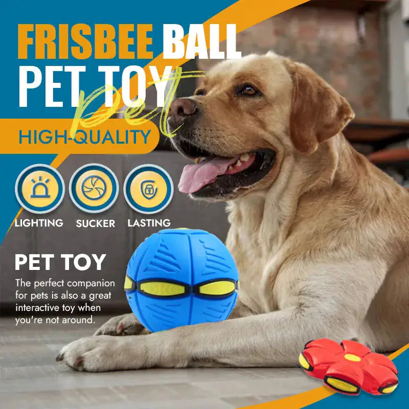 Pet Flying Saucer Ball Toy